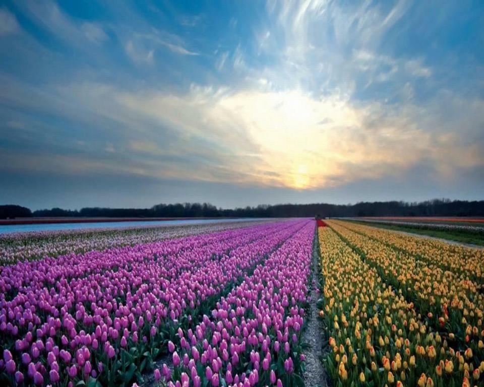 Het Hoekhuisje Egmond aan Zee Ngoại thất bức ảnh